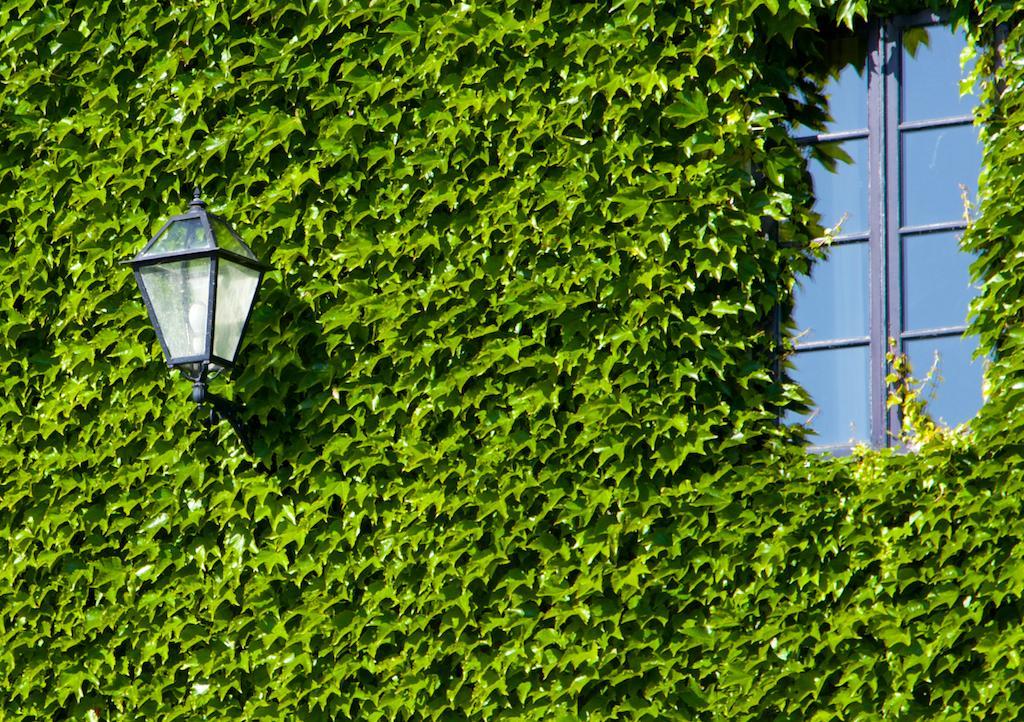Rectoral De Cobres 1729 Hotell San Adrian de Cobres Eksteriør bilde